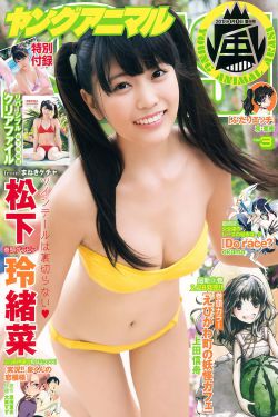 在莫斯科郊外的晚上