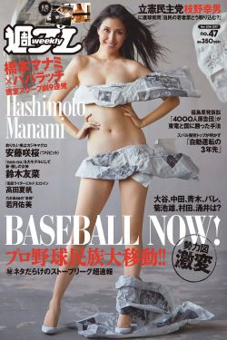 老严有女不愁嫁 电视剧